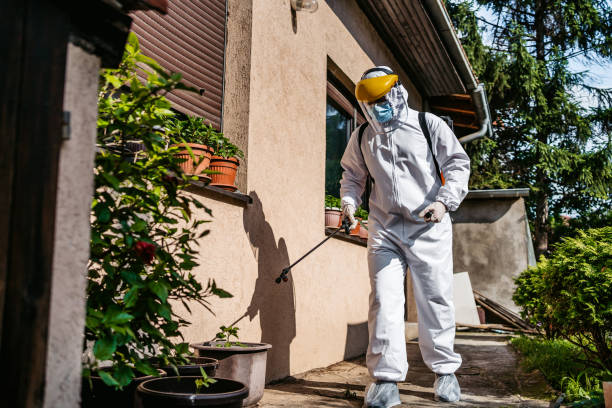 Trusted West Melbourne, FL Pest Control Experts