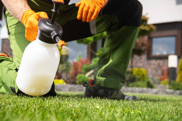 Best Termite Control Services  in West Melbourne, FL