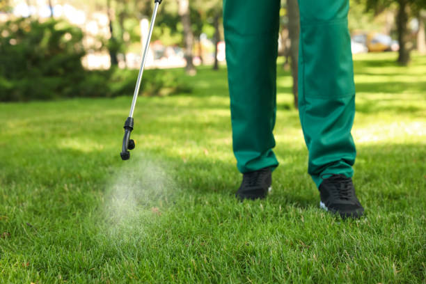 Best Spider Control Near Me  in West Melbourne, FL