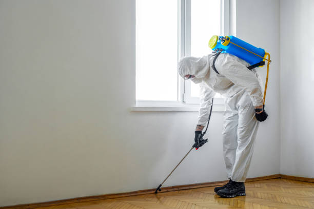 Insect Control in West Melbourne, FL