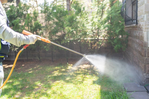 Wildlife Control Services in West Melbourne, FL
