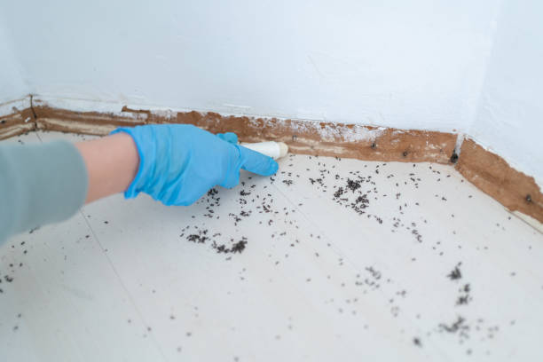 Best Pest Prevention Services  in West Melbourne, FL