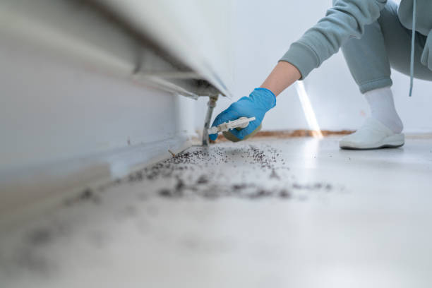 Best Local Pest Control Services  in West Melbourne, FL